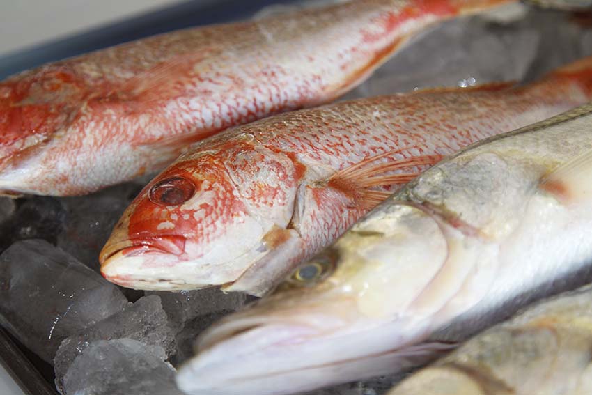 pescados mariscos-del-sur1